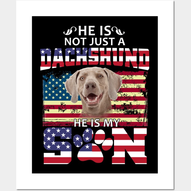 He Is Not Just A Dachshund He Is My Son Wall Art by Pelman